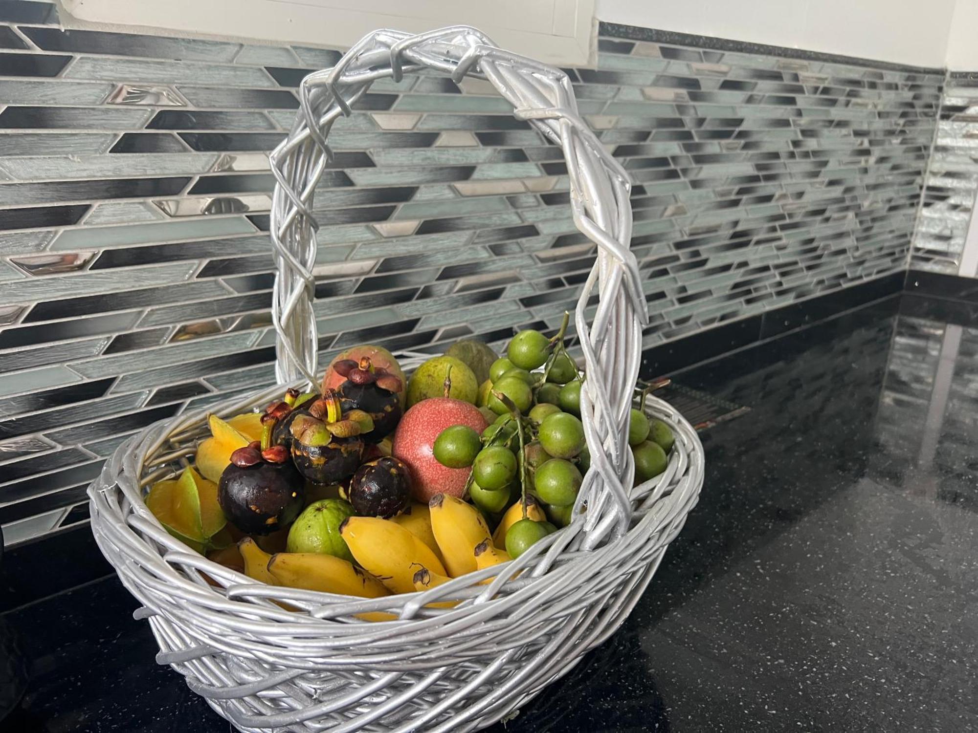 Charmante Villa, Kaz' Aa.Liyah Pointe-à-Pitre Zewnętrze zdjęcie
